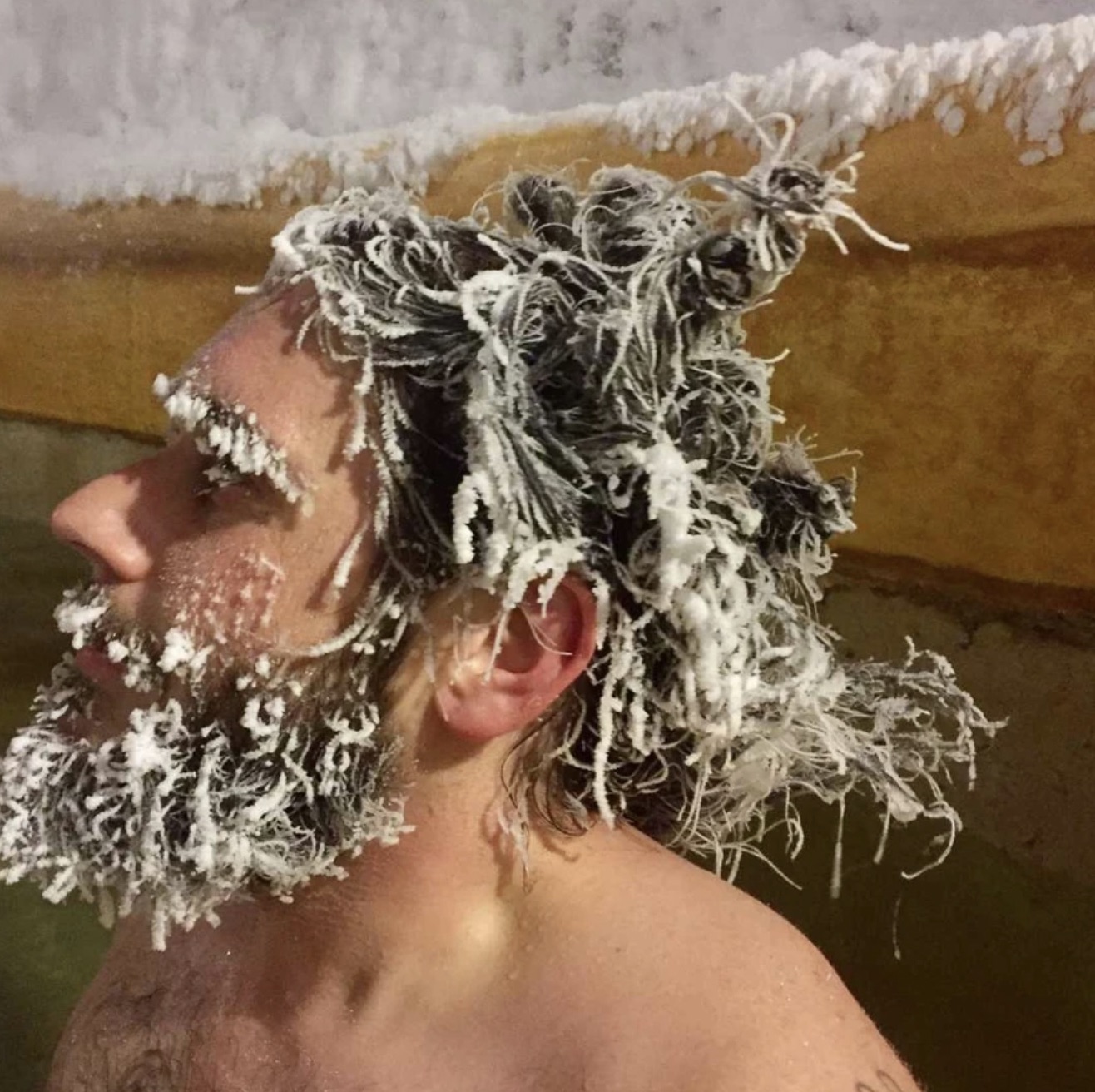 38 Incredibly Cool Pics of Ice Beards